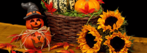 Autumn Pumpkin and Sunflowers