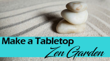 Tabletop Zen Garden